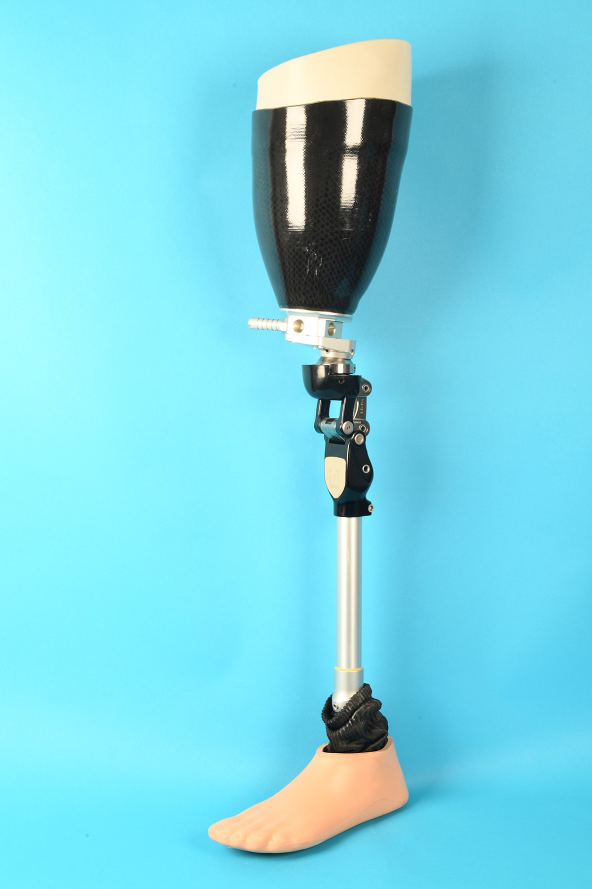 prosthetic leg (2)